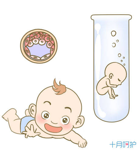 供卵捐卵试管婴儿